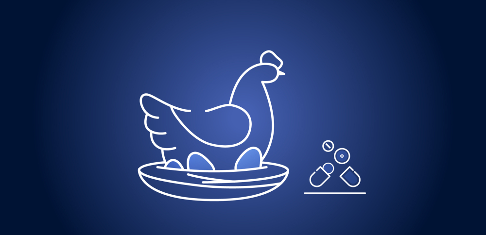 Витамины для несушки: как увеличить яйценоскость кур?