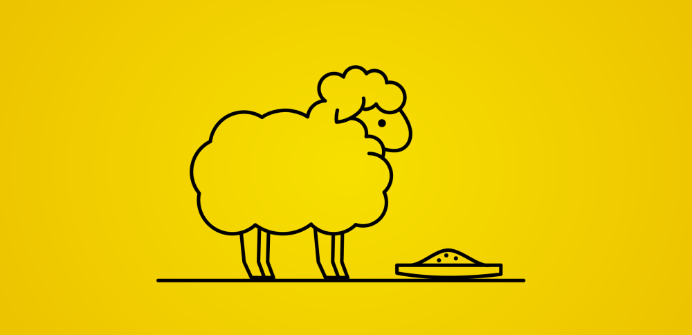 Кормление овец и ягнят: какие витамины нужны? Как ускорить рост овец и ягнят?