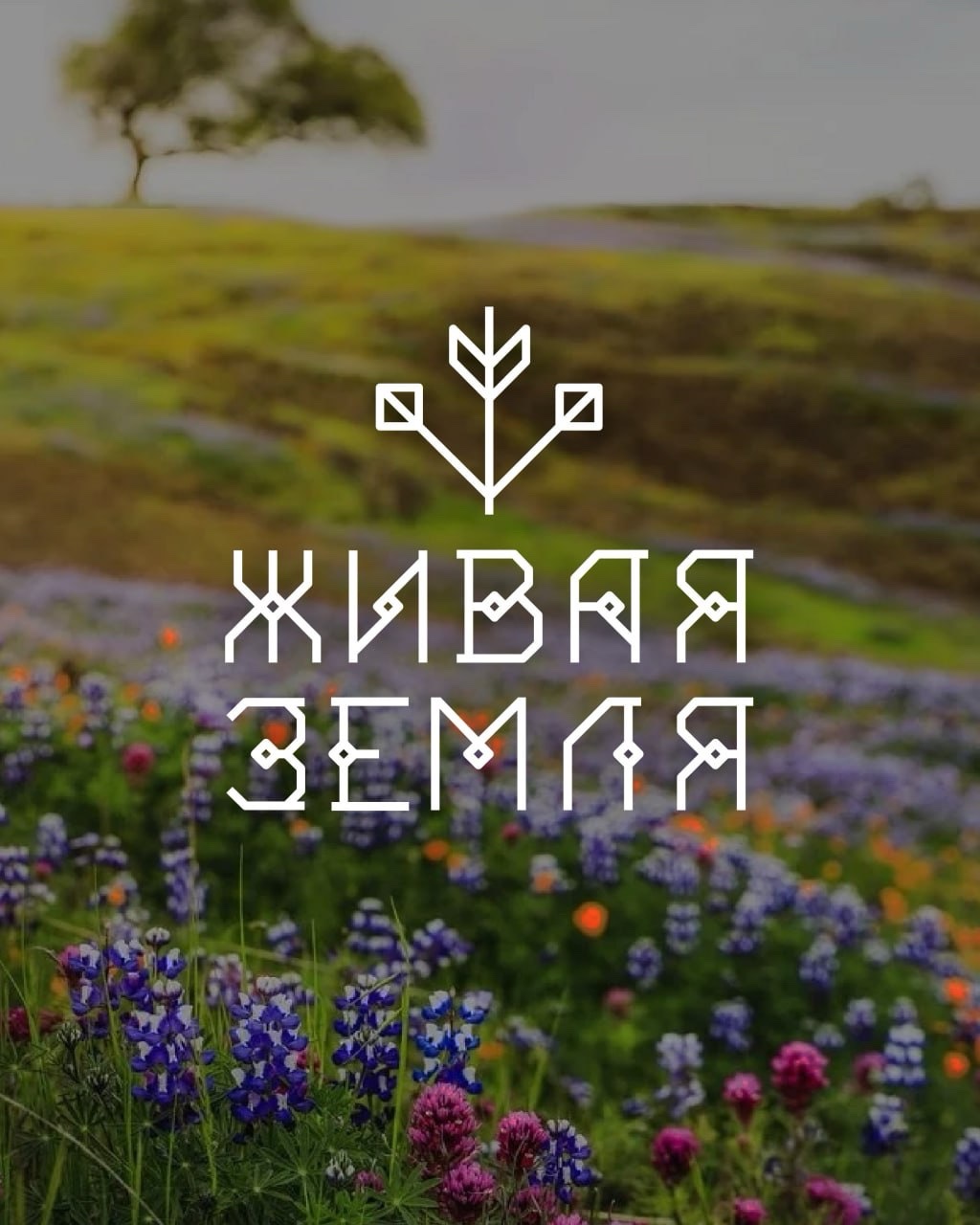 Проект Живая земля