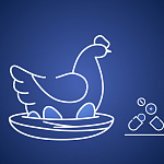 Витамины для несушки: как увеличить яйценоскость кур?